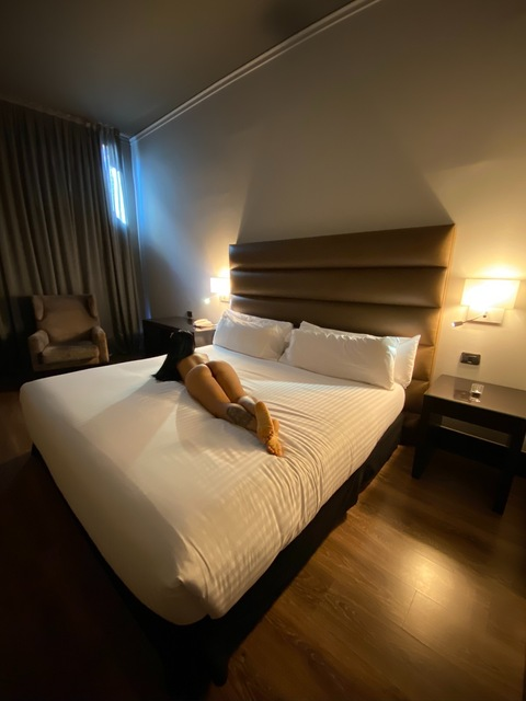 ladymera header picture leakfans.com