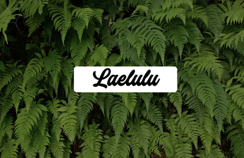 laelulu header picture leakfans.com