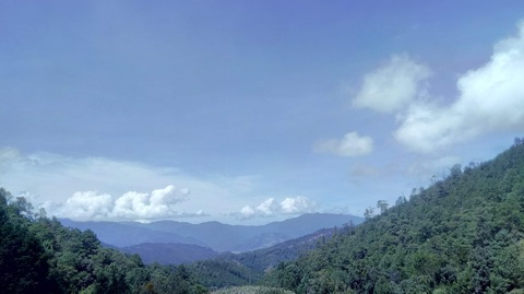 laia33 header picture leakfans.com