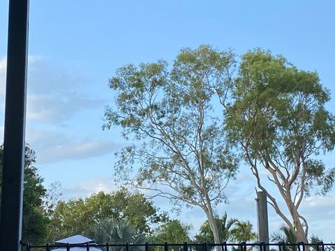 laina003 header picture leakfans.com