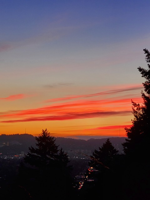 lainztoes header picture leakfans.com