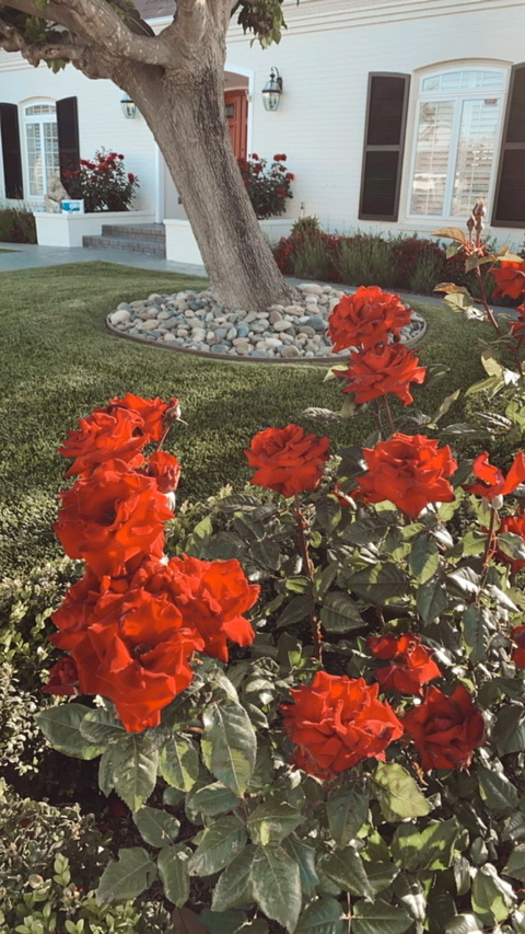 lanaxoxo header picture leakfans.com