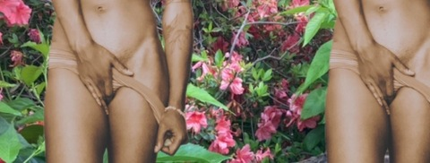 lanaypayarecords header picture leakfans.com