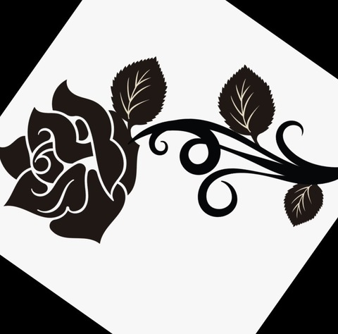 lanegritatruchaa header picture leakfans.com