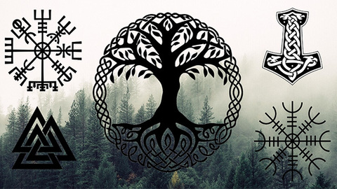 langley header picture leakfans.com