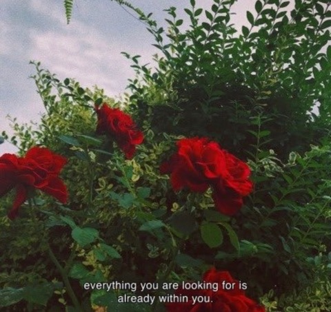 lanxjay header picture leakfans.com