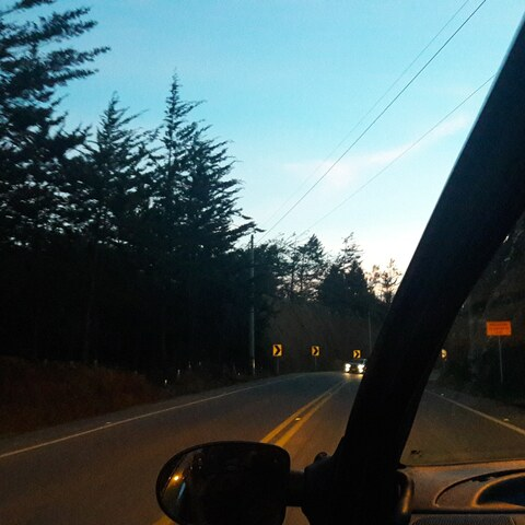 laromeroale header picture leakfans.com