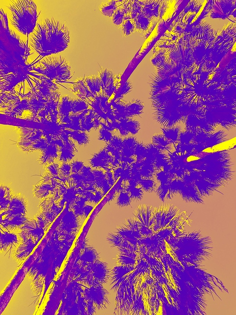 latinojockxxx header picture leakfans.com