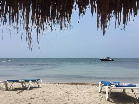 latinvideoproducer header picture leakfans.com