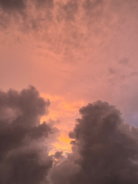 lauzauwu header picture leakfans.com