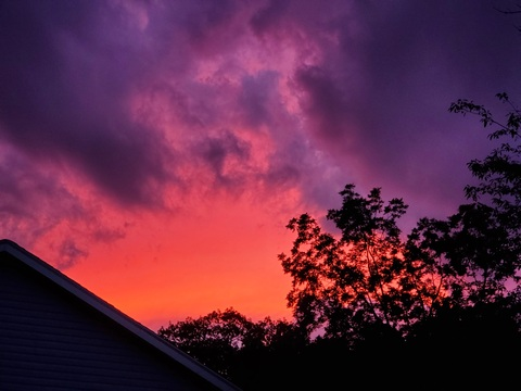 lavnderhoney header picture leakfans.com