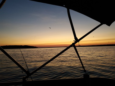 lavone89 header picture leakfans.com