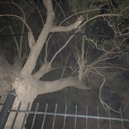 layana profile picture leakfans.com