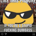 laycc profile picture leakfans.com