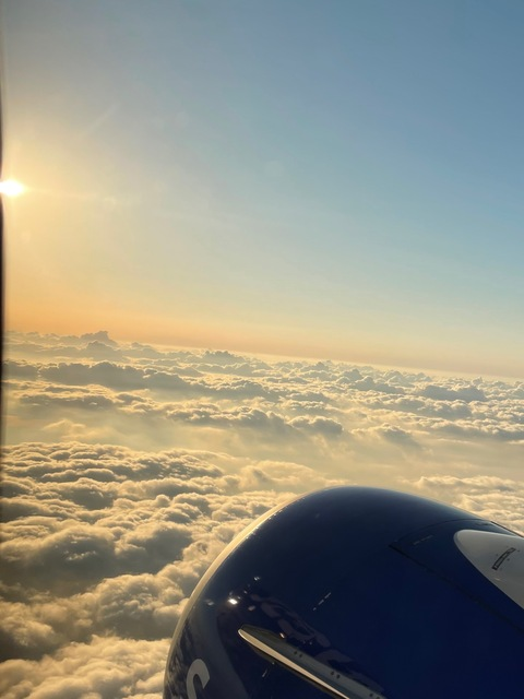 layvi header picture leakfans.com