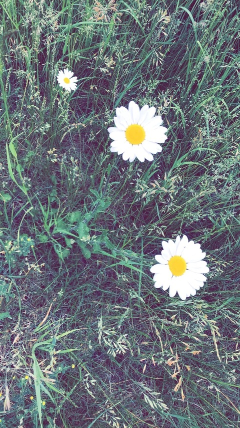 leabelt6 header picture leakfans.com