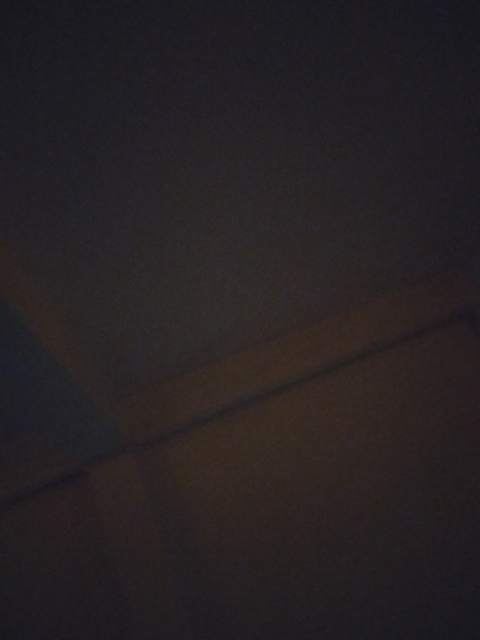 leehan header picture leakfans.com