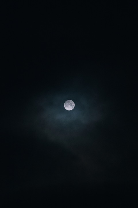 leehee header picture leakfans.com