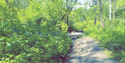 legolas420 header picture leakfans.com