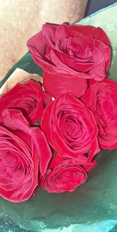 leigh89 header picture leakfans.com