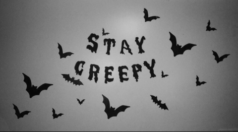 lenoremiseria header picture leakfans.com