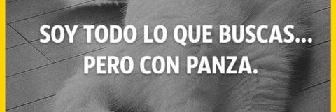 leslo header picture leakfans.com