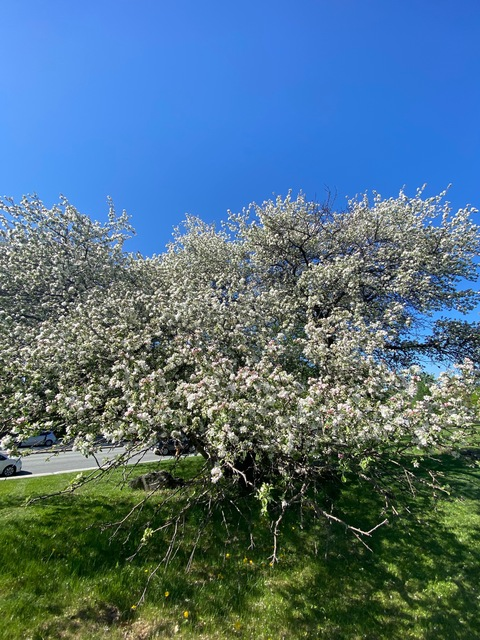 letriangledesbernudes header picture leakfans.com