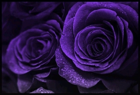 letsmakelove header picture leakfans.com