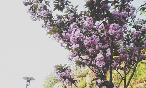 levvd header picture leakfans.com