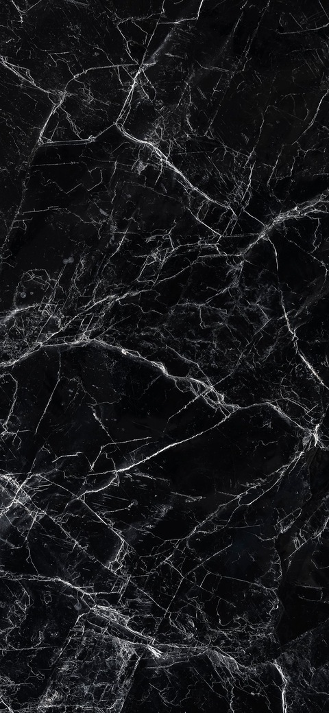 lexiboo113 header picture leakfans.com