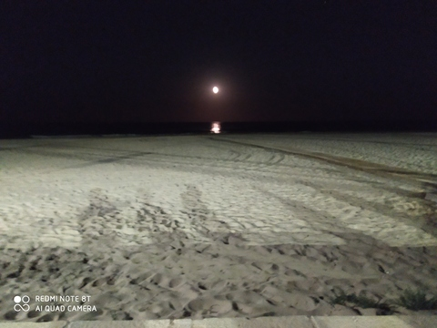 lexiesol21 header picture leakfans.com