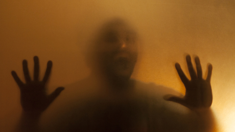 lezzbiehonest header picture leakfans.com