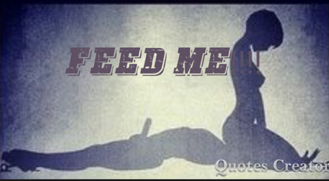 lickherupandown header picture leakfans.com