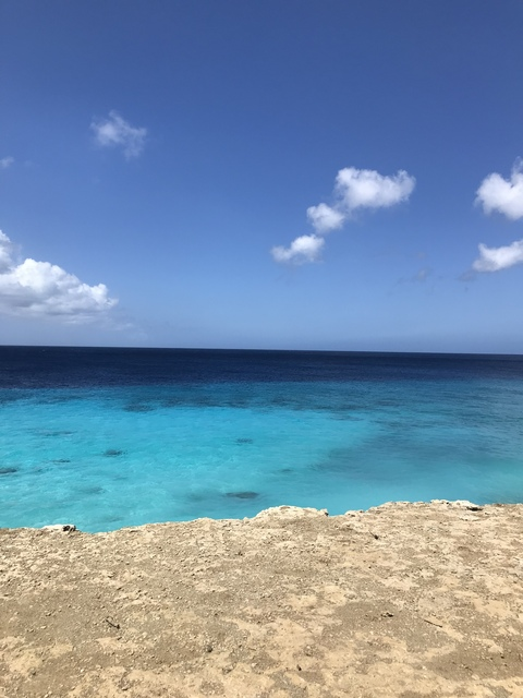 liefloves header picture leakfans.com