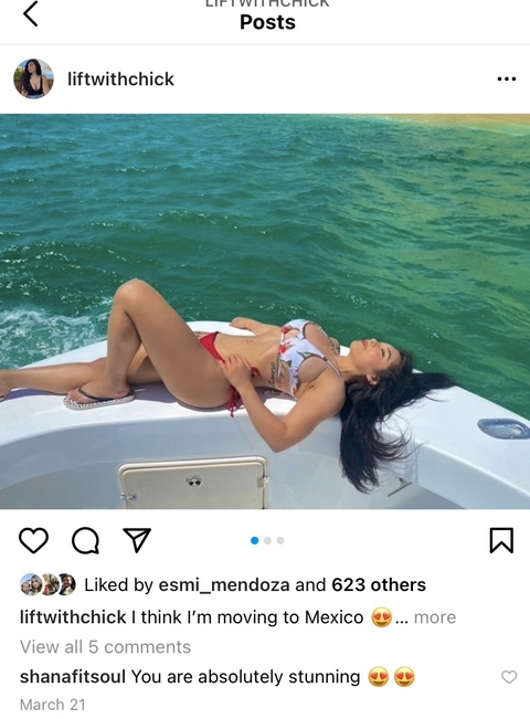 liftwithchick header picture leakfans.com