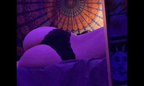 liils header picture leakfans.com