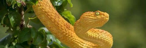 liily header picture leakfans.com