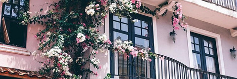 lil.bhaddie header picture leakfans.com