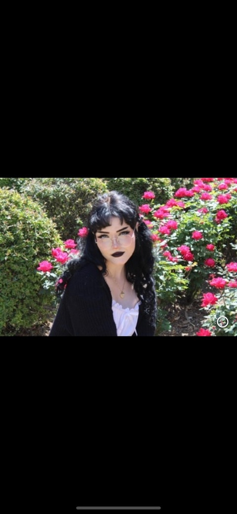 lilacpuppie header picture leakfans.com