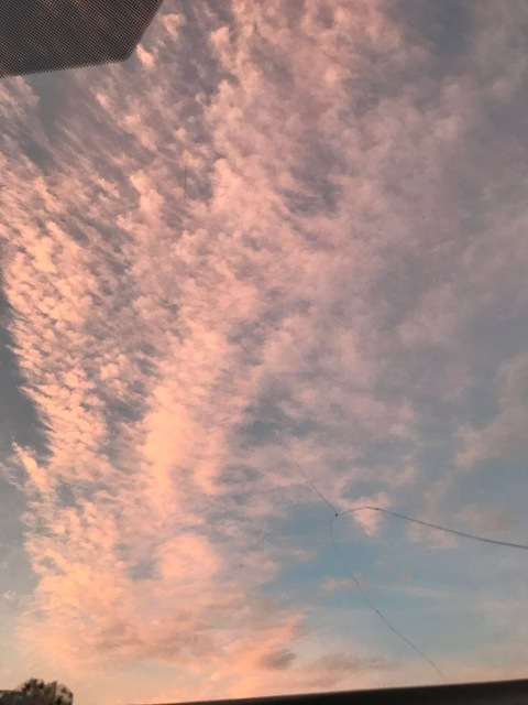 lilangelbby header picture leakfans.com