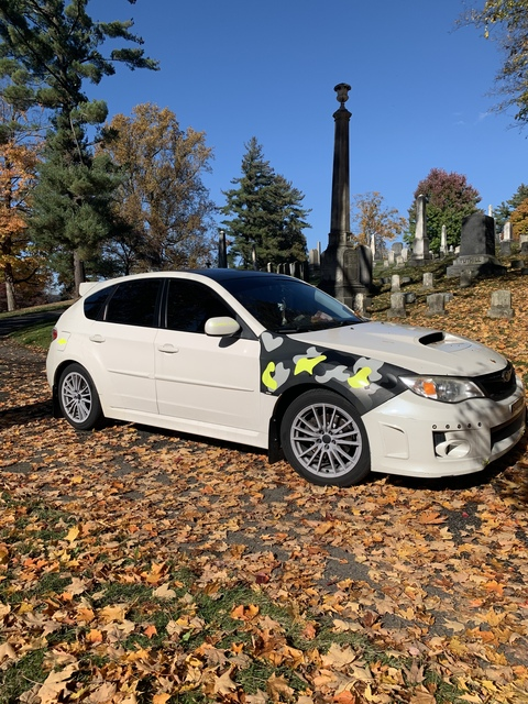 lilbattyyy13 header picture leakfans.com