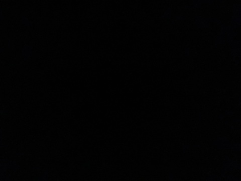 lilbbabyt1 header picture leakfans.com