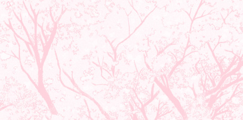 Header of lilbootybratx