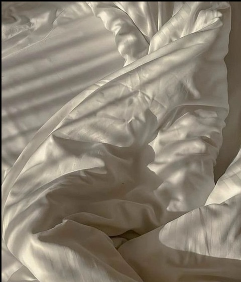 lilith.be header picture leakfans.com