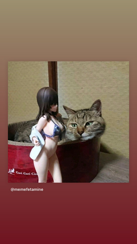 lilithspetbunny header picture leakfans.com