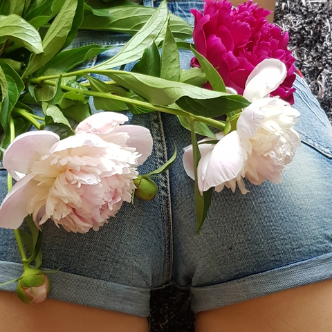 liliyayours header picture leakfans.com