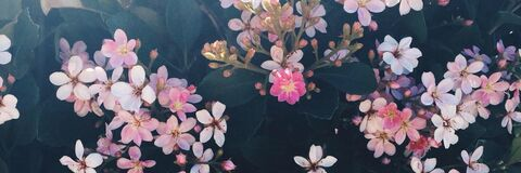 lilkikimarie header picture leakfans.com