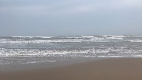 lillielavender header picture leakfans.com