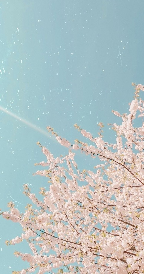 lilly9999xoxo header picture leakfans.com