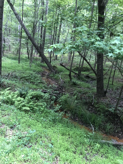 lillyjunelove header picture leakfans.com